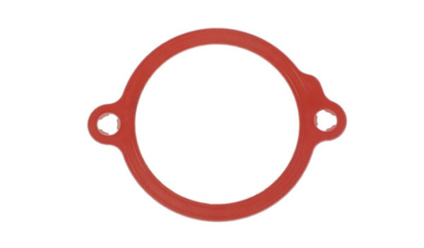 Brtva kučišta termostata FENDT