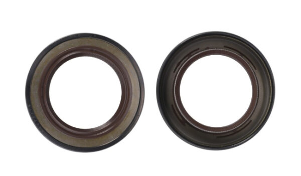 Semering 48x72x10 mm AGCO